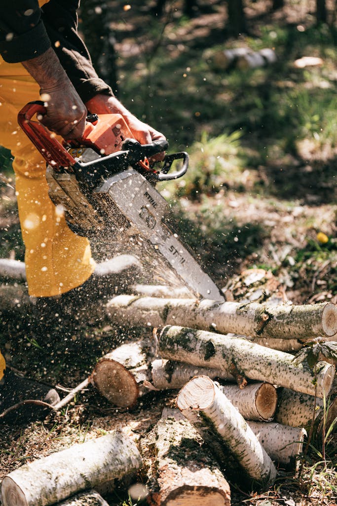 Photo of Person Using Chainsaw